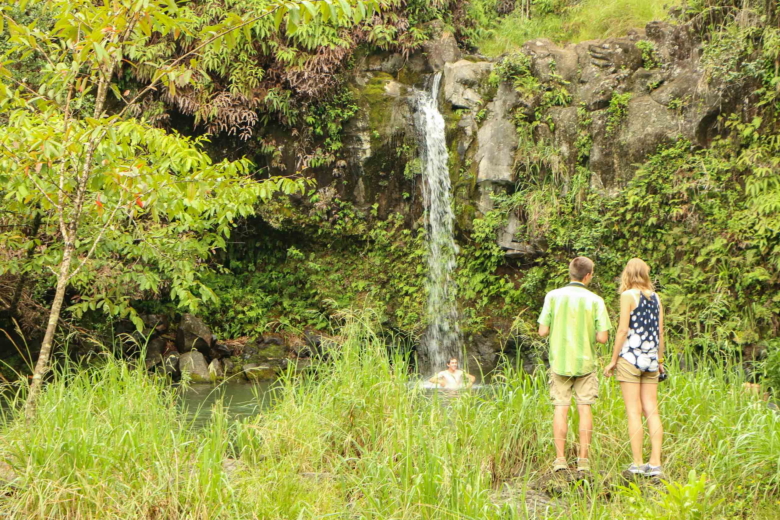 Maui Waterfalls And Swimming Pools Road To Hana Tours