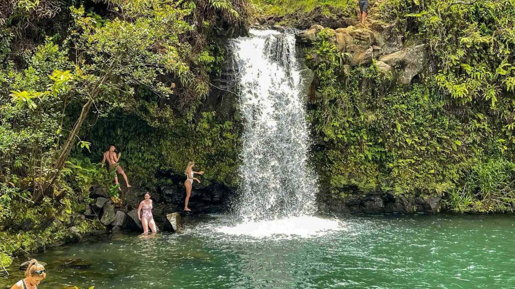 Road To Hana Tours | Maui Waterfall & Rainforest Adventures