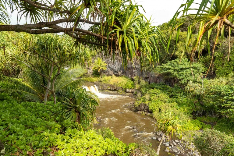 Pools of Oheo Gulch and Trees Kipahulu road to Hana Maui