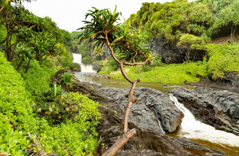Pools of Oheo Waterfall Pools and Hala Tree Kipahulu road to Hana Maui