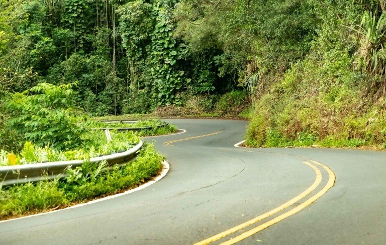 Road To Hana Twists and Turns Maui