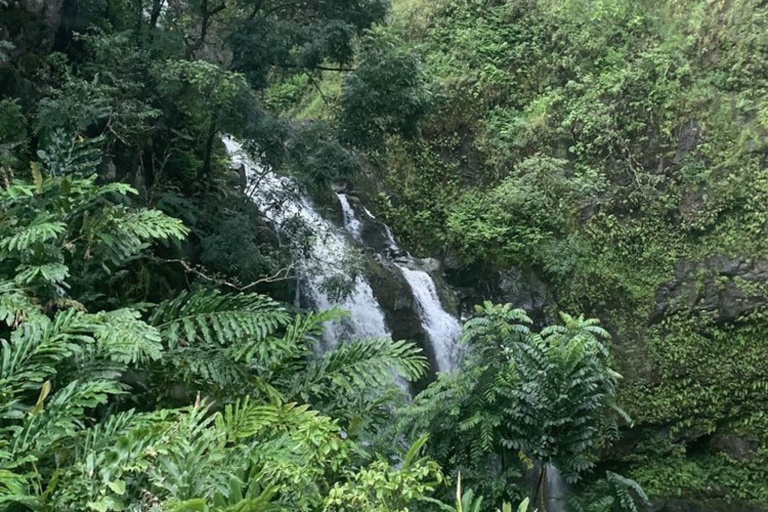 temptationtours road to hana helicopter tour waterfalls in forest