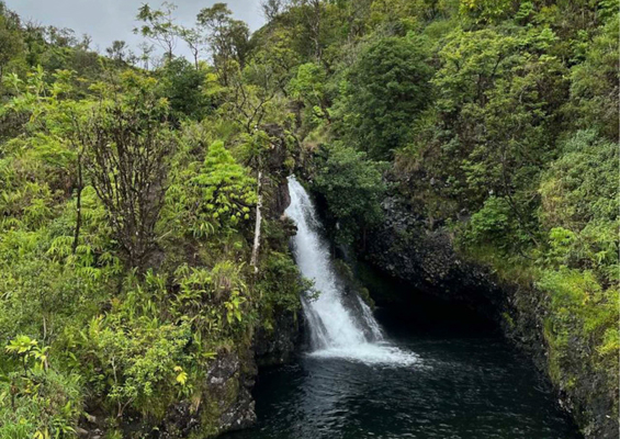 temptationtours road to hana helicopter tour waterfalls in jungle 