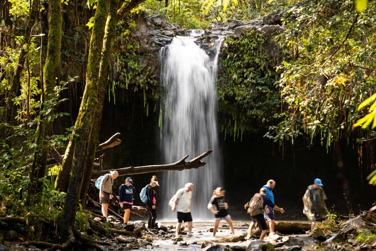 hikemaui hana waterfalls hiking tour guideline group