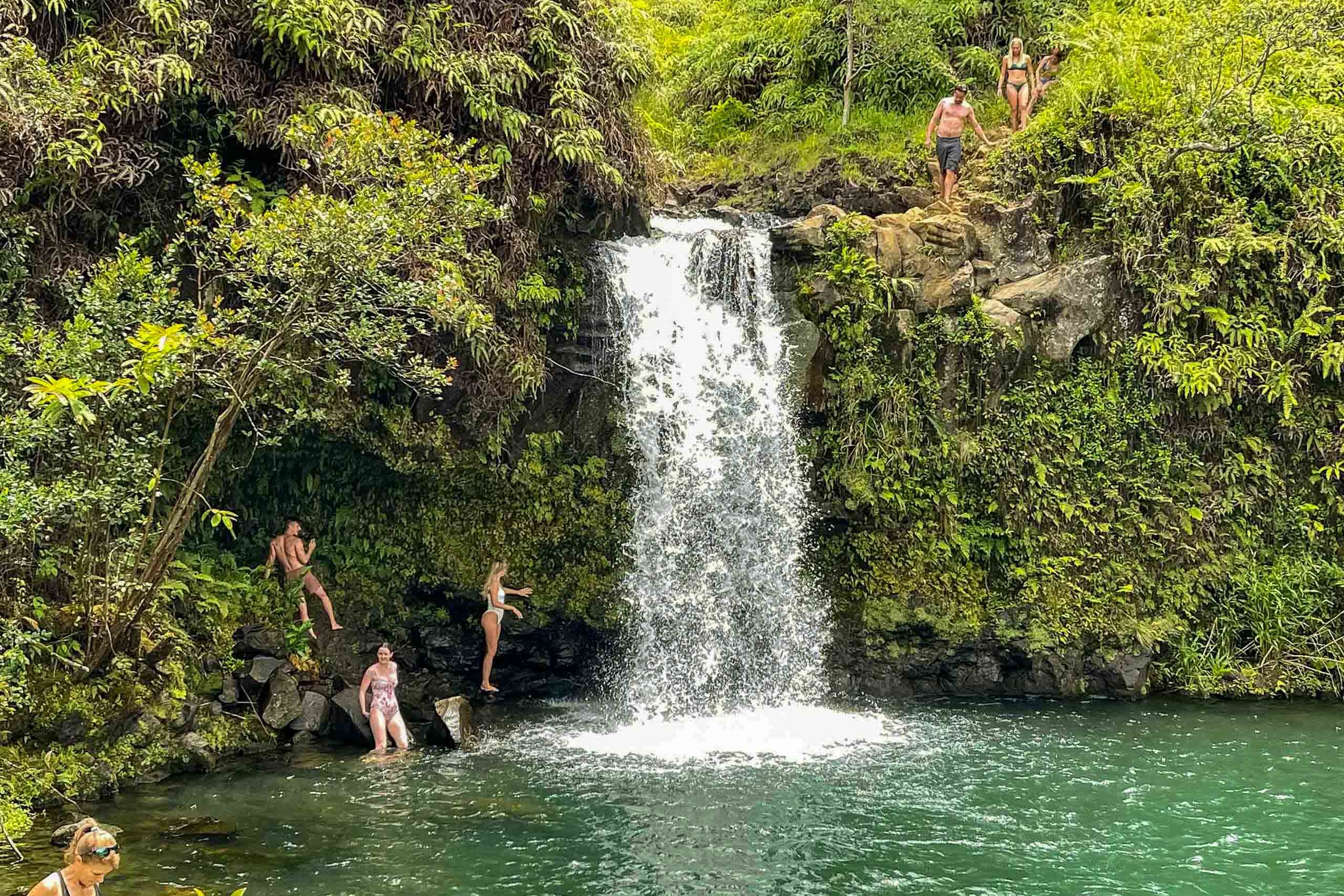 Luxury Road To Hana Tour | Road To Hana Excursions