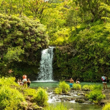 Private Road To Hana Tours - All Group Sizes - Expert Local Guide