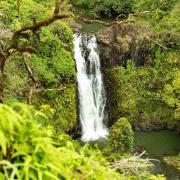 Private Road To Hana Tours - All Group Sizes - Expert Local Guide