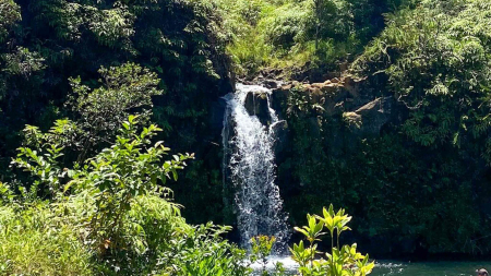 Road To Hana Tours | Maui Waterfall & Rainforest Adventures