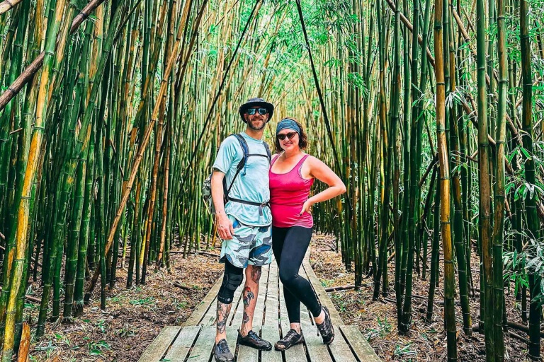 holoholomauitours private bamboo forest visitors