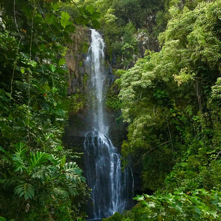 holoholomauitours waterfall in forest