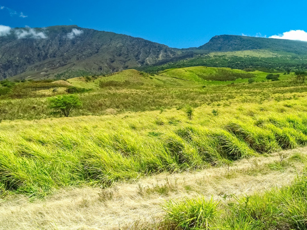 Kaupo Maui & The Road Beyond Hana | Road To Hana Tours