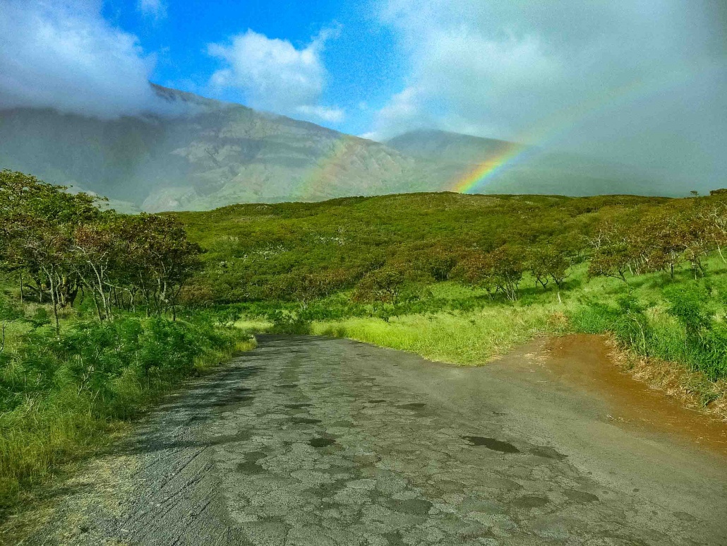 Kaupo Maui & The Road Beyond Hana | Road To Hana Tours