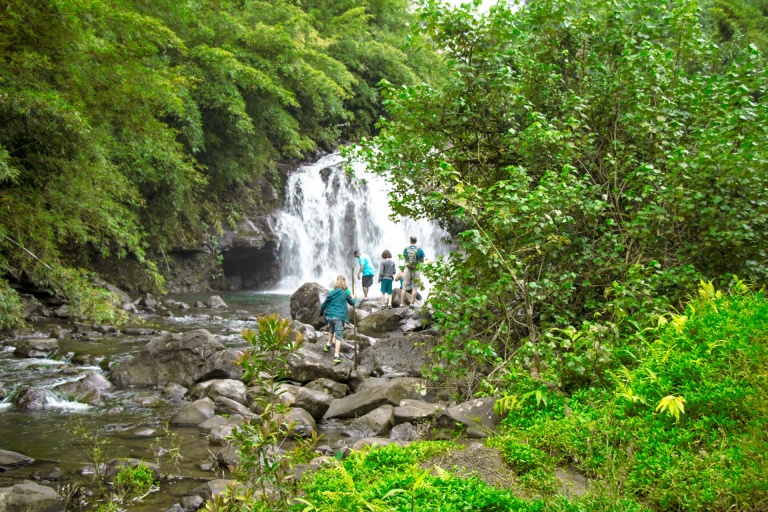 beautiful pic of family friendly hiking road to hana maui