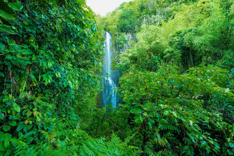 enjoy amazing views of hana waterfalls maui