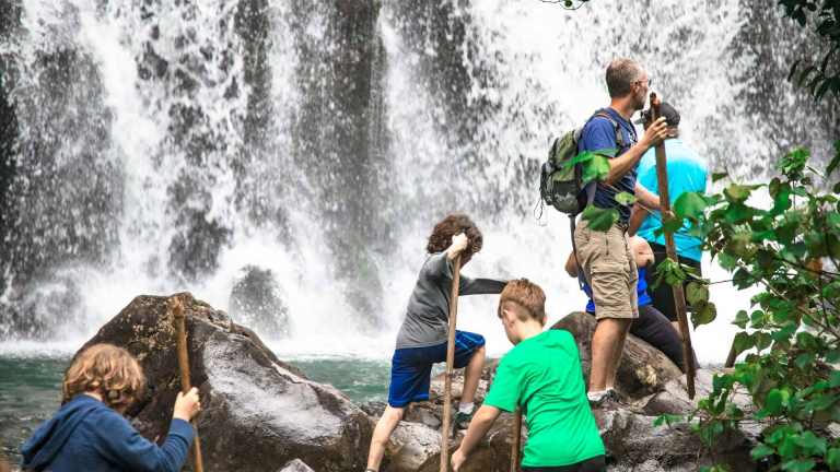 Maui Waterfalls And Rainforest Stroll
