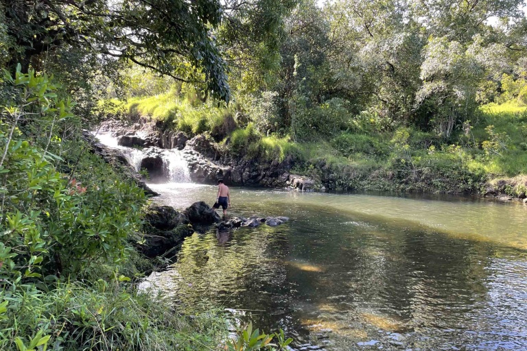 hawaiianstyle road to hana exclusive waterfall hike pond