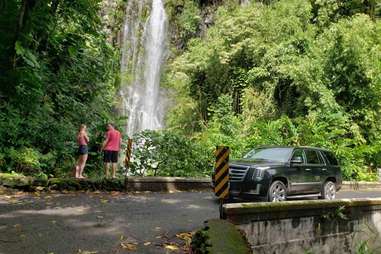 hawaiianstyle road to hana exclusive waterfall pickup forest