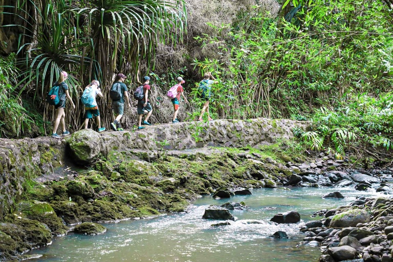 hike through the lush rainforest to the stunning waterfalls maui