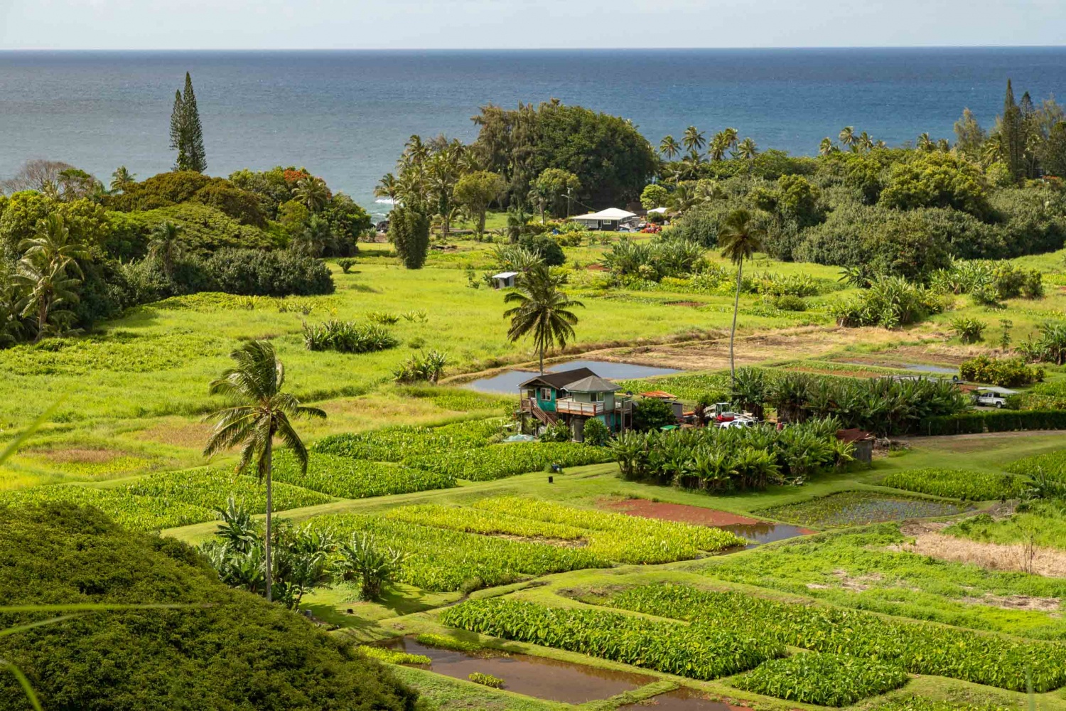 Road to Hana Maui Day Tour from Oahu An Day of Scenic