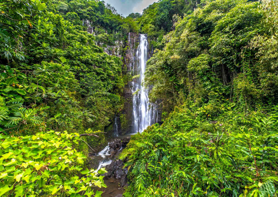 road to hana full circle tour wailua waterfall